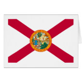 Florida State Flag Design (Devant horizontal)