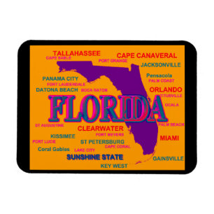 Florida State Pride Map Silhouette Magneet
