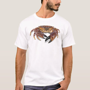Florida stone crab t-shirt