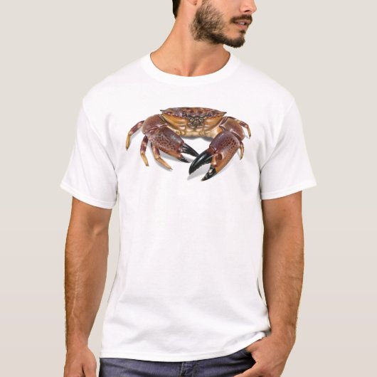 Florida stone crab t-shirt (Voorkant)
