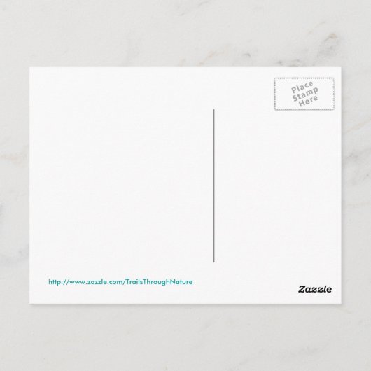 Florida Storm Lightning Briefkaart (Achterkant)