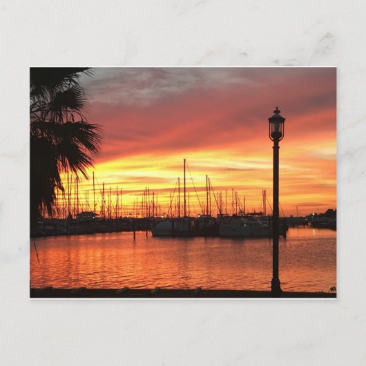 Florida Sunset Briefkaart (Voorkant)