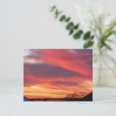 Florida Sunset Briefkaart (Staand voorkant)