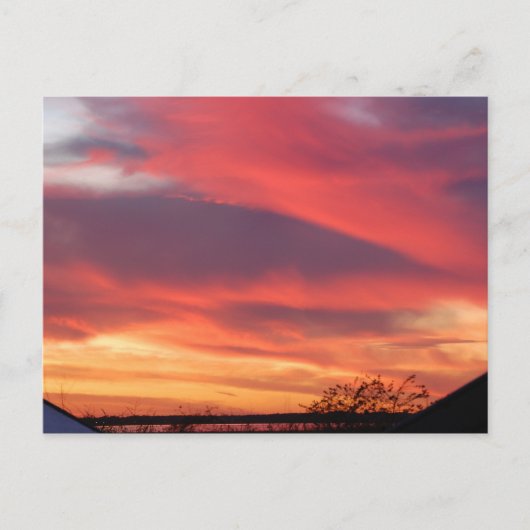Florida Sunset Briefkaart (Voorkant)