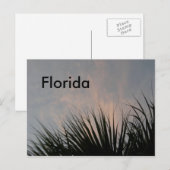 Florida Sunset - Briefkaart (Voorkant / Achterkant)