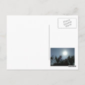 Florida Sunset - Briefkaart (Achterkant)