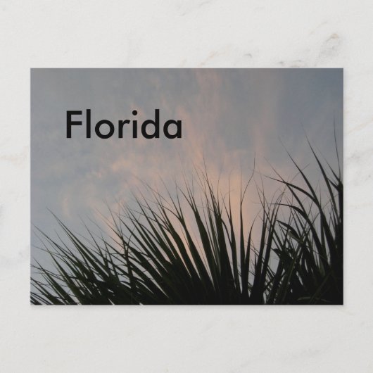 Florida Sunset - Briefkaart (Voorkant)
