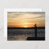 Florida Sunset met Pelican Briefkaart (Voorkant / Achterkant)