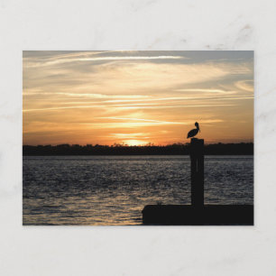 Florida Sunset met Pelican Briefkaart