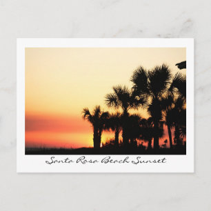 Florida Sunset Santa Rosa Beach Palm Trees Briefkaart