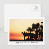 Florida Sunset Seagrove Beach Palm Trees Briefkaart (Voorkant / Achterkant)