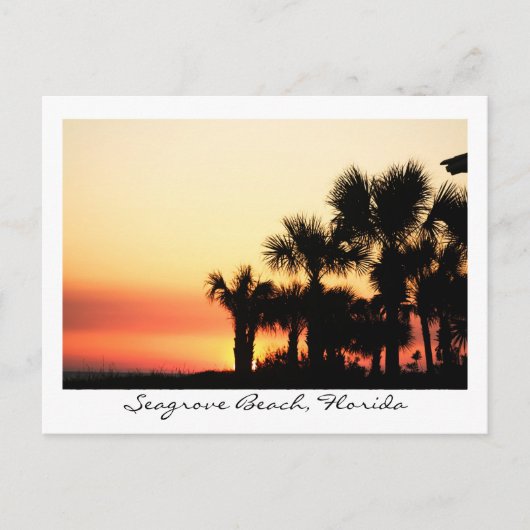 Florida Sunset Seagrove Beach Palm Trees Briefkaart (Voorkant)