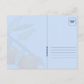 Florida Sunshine Briefkaart (Achterkant)