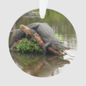 Florida Swamp Gator - Acryl Ornament (voorkant)