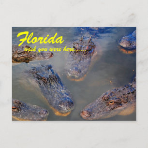 Florida Swimming Hole Briefkaart