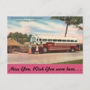 Florida, Tamiami Trail, Everglades Briefkaart