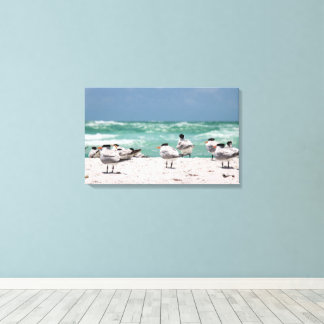 Florida Terns on White Sandy Florida Beach Canvas Afdruk