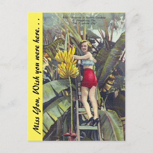 Florida, "The Sunshine City" Briefkaart (Voorkant)