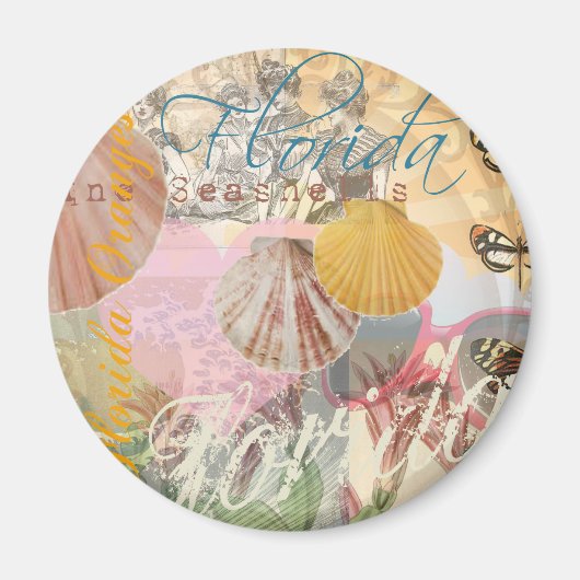  Florida Travel Beach Shells Art Print Magneet (Voorkant)