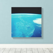Florida uit Space Canvas Afdruk (Insitu (Houten vloer))
