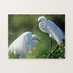 Florida, Venetië, Audubon Sanctuary, Grote Zilverr Legpuzzel
