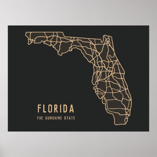 Florida VS State wegenkaart - Sunshine State kaart Poster (Voorkant)