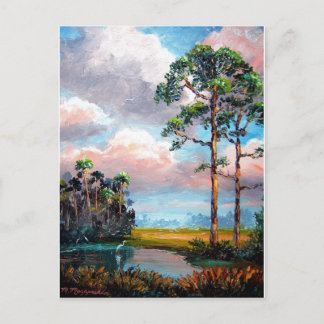 Florida Wilderness Briefkaart