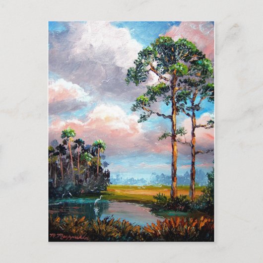 Florida Wilderness Briefkaart (Voorkant)