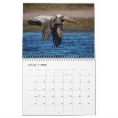 Florida Wildlife in Pinellas County 2026 Kalender (Jan 2026)