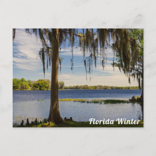 Florida Winter Briefkaart