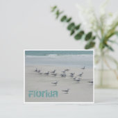 Florida Zee Birds Briefkaart (Staand voorkant)