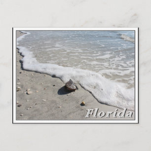 Florida zomer vakantie zeeschelp op het strand briefkaart