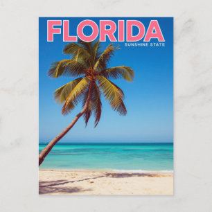 Florida Zonneschijn Staat Palmboom Strand Tropisch Briefkaart