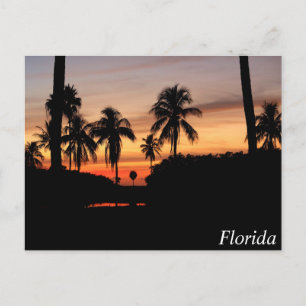 Florida zonsondergang briefkaart
