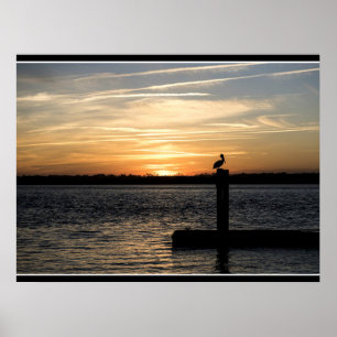 Florida zonsondergang met pelikaan poster