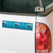 Floridaanse lamantijn bumpersticker (Op Truck)