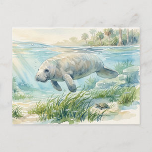 Floridamanatee waterverf briefkaart