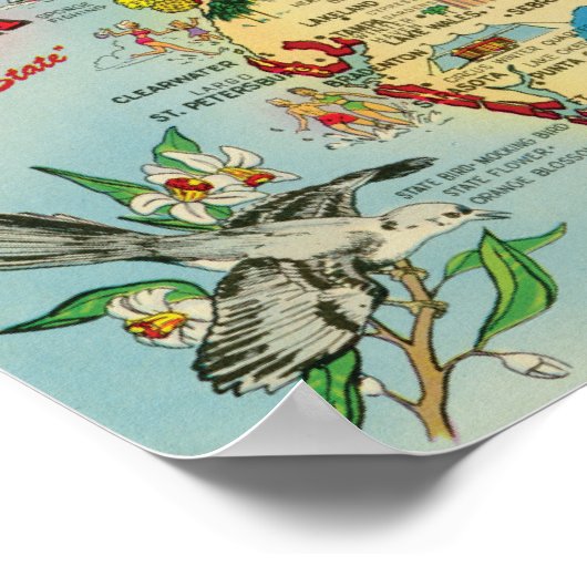 Floride 8x10 Poster imprimé (Coin)