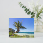 Floride - Bahia Honda carte postale (Debout devant)