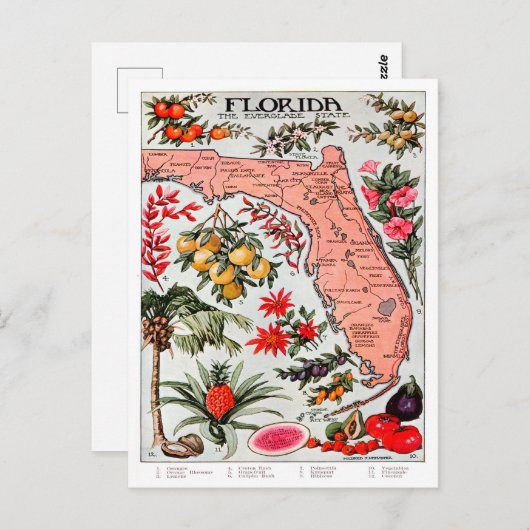 Floride - Carte de l'État des Everglade (Devant / Derrière)