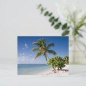 Floride - carte postale de plage Sombrero (Debout devant)