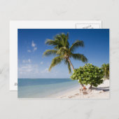 Floride - carte postale de plage Sombrero (Devant / Derrière)