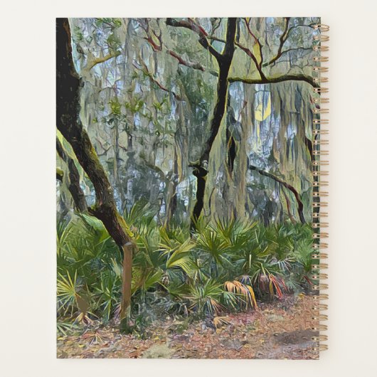 Floride dentelle espagnole mousse impressionniste  (Dos)