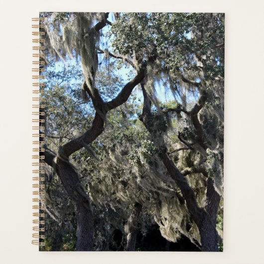 Floride Espagnol Moss (Devant)