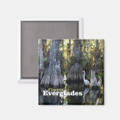 Floride Everglades Photo Souvenir Fridge Magnet (Recto/Verso)