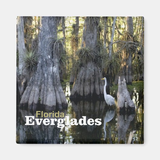 Floride Everglades Photo Souvenir Fridge Magnet (Devant)