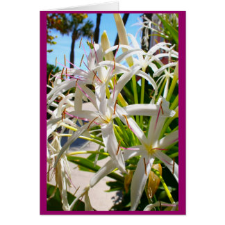 Floride exotique