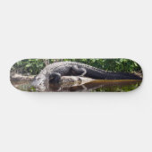 Floride Gator - American Alligator Skateboard (Horz)