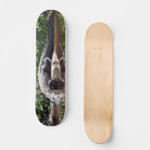 Floride Gator - American Alligator Skateboard (Recto)