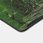 Floride Keys Kayaking (Coin)